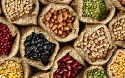 HarvestPlus Beans Curbing Malnutrition