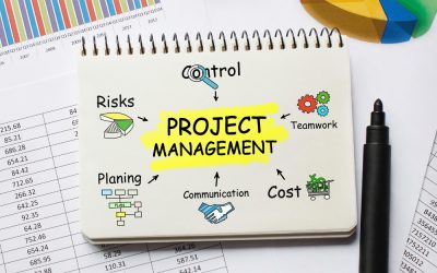 What are Microsoft’s Project Management Options?