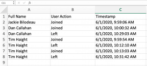 Sample meeting track attendance spreadsheet