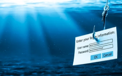 Phishing in Your Own Pond: The Importance of Simulated Phish Tests